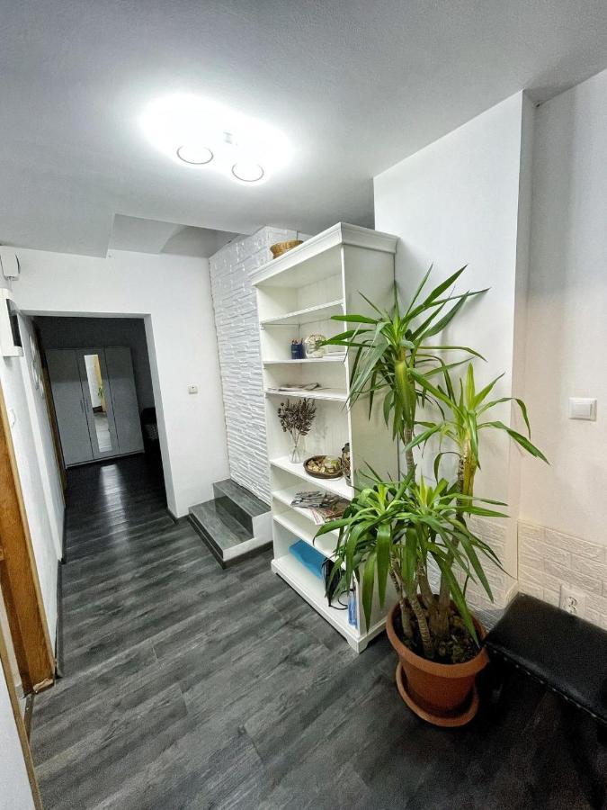 3 Rooms Cinema Garden Parking House Bucureşti Eksteriør bilde